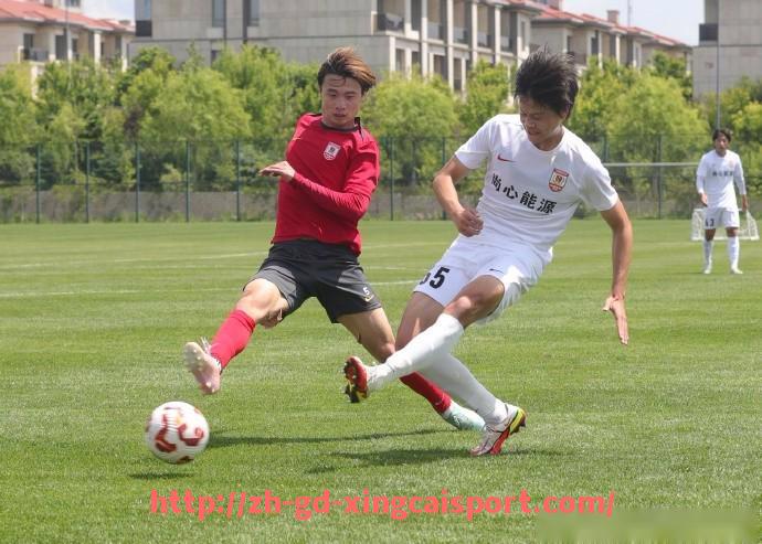 杏彩体育-世俱杯影响力指数排行与各大平台表现对比