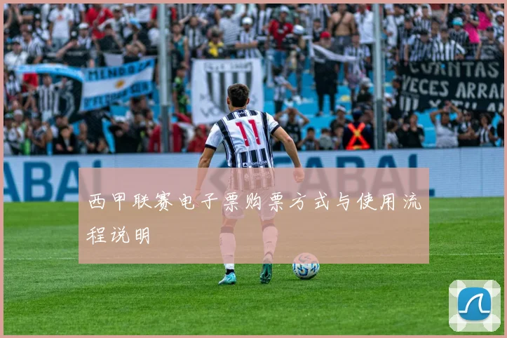 西甲联赛电子票购票方式与使用流程说明