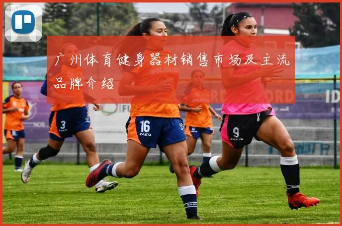 广州体育健身器材销售市场及主流品牌介绍