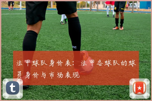 法甲球队身价表：法甲各球队的球员身价与市场表现