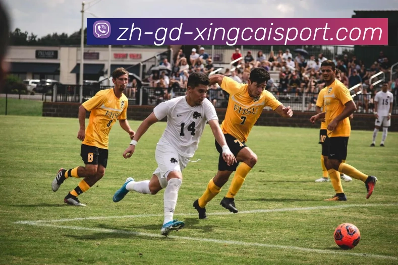 杏彩体育APP 体育赛事宣传图