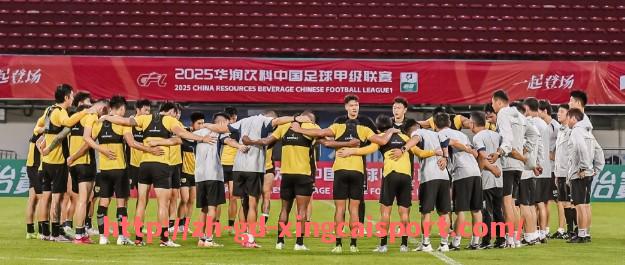 杏彩体育-法甲赛季最佳球员评选过程追踪