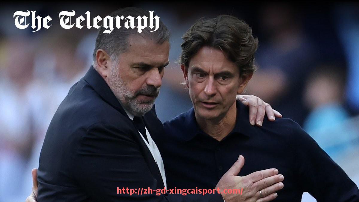 杏彩体育-福建足球队在中超联赛中的发展历程及未来展望分析